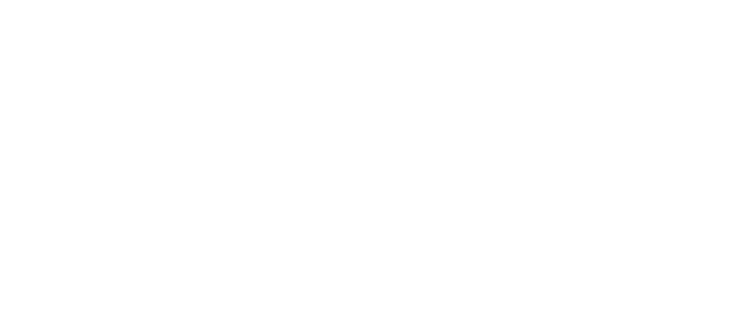 ivbb_logo_white